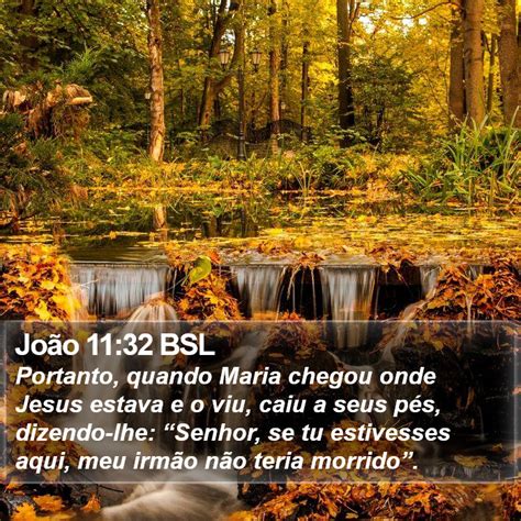 João 11 32 BSL Portanto quando Maria chegou onde Jesus estava e