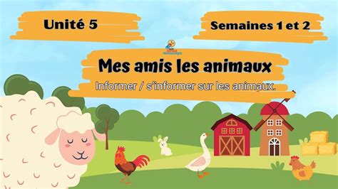 Informer Sinformer Sur Les Animaux Mes Amis Les Animaux Unit