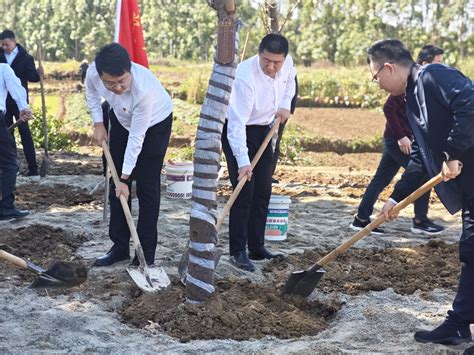 共建绿美广东！中建五局联合深圳罗湖区住建局开展植树绿美活动