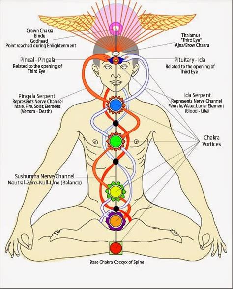 Kundalini Awakening Is Possible For Woman Philosia The Art Of