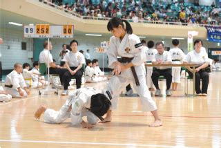 A Lifetime at the Nippon Budokan - Martial Journal