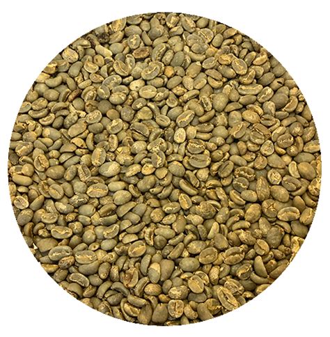 Indonesian Java Bondowoso | Anaerobic Natural | Burman Coffee