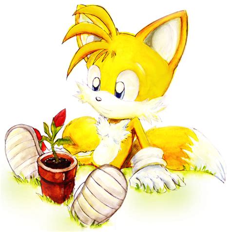 Tails and Cosmo - SONIC COUPLES Fan Art (16966639) - Fanpop