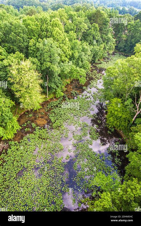 Alabama Decatur estuary nature natural scenery forest aerial view Stock ...