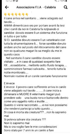 Margot On Twitter Rt Zampa Qua Il Cane Recuperato Dopo Ore