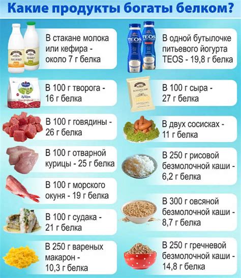Белок: в каких продуктах содержится больше, список | Планировщик ...