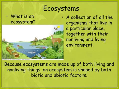 Ppt Ecosystems Powerpoint Presentation Free Download Id 1824648