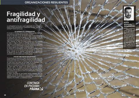 Fragilidad Y Antifragilidad Stakeholders News