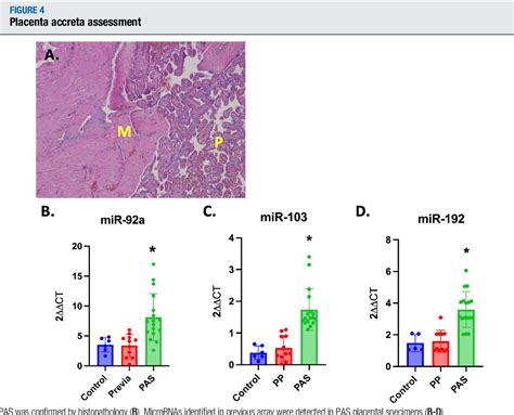 Figure 4 From Serum Exosomal MicroRNA Pathway Activation In Placenta