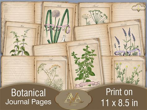 Botanical Journal Pages Printable Lined And Blank Herb Junk Etsy