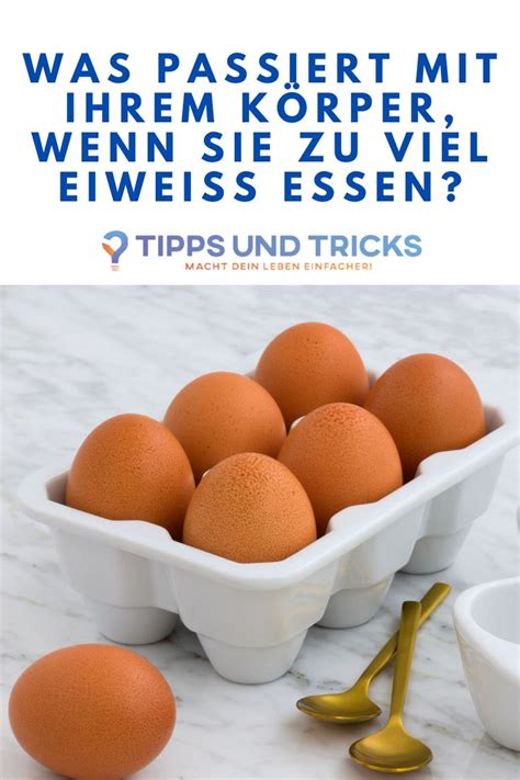 Was Passiert Mit Ihrem K Rper Wenn Sie Zu Viel Proteine Essen In