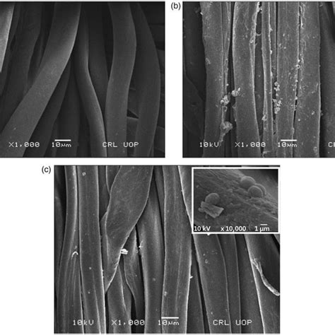 Effect of CTAB surfactant (– –) and biosurfactant (– m –)... | Download ...