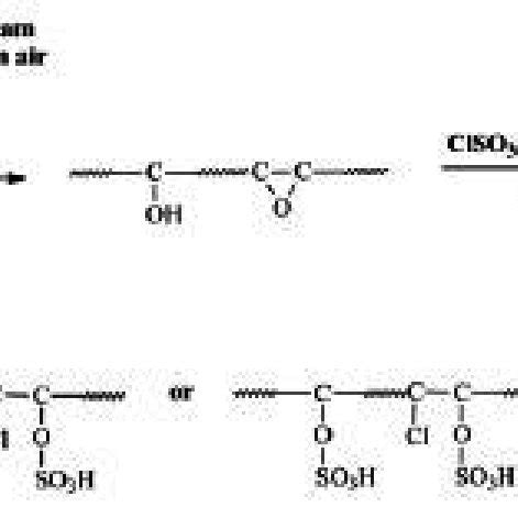 Introduction of sulfone groups on electron beam irradiated PP ...