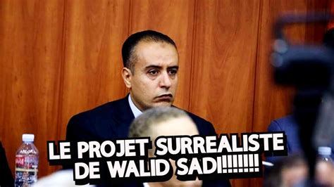 Walid Sadi A T Il RÉellement Un Projet Analyse Des 10 Points De Son