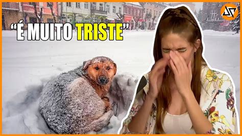 COMO E MORAR NA RUSSIA CORTES JUPITER YouTube