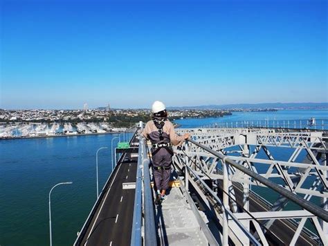 Auckland Bridge Bungee Jumping | Auckland - What to Expect | Timings ...