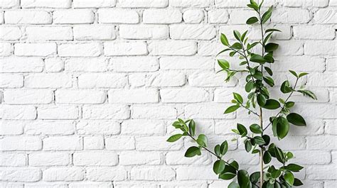 White Brick Wall With Plant Premium AI Generated Image