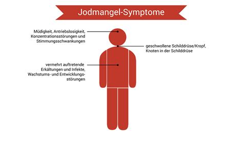 Jod Ratgeber Jodmangel Behandeln Vorbeugen