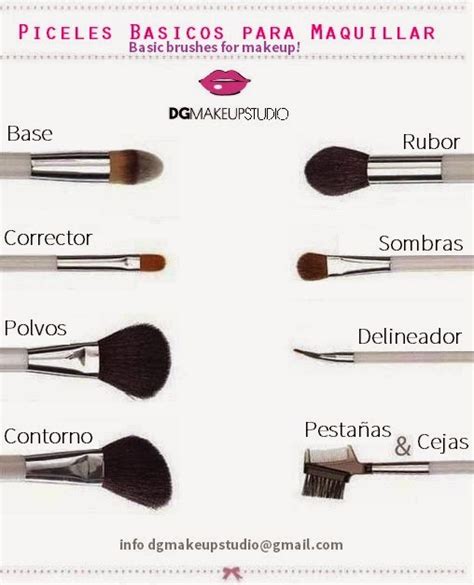 DG Makeup Studio Pinceles Basicos Para Maquillar