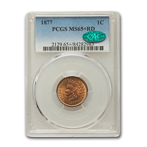 Buy 1877 Indian Head Cent Ms 65 Pcgs Cac Red Apmex