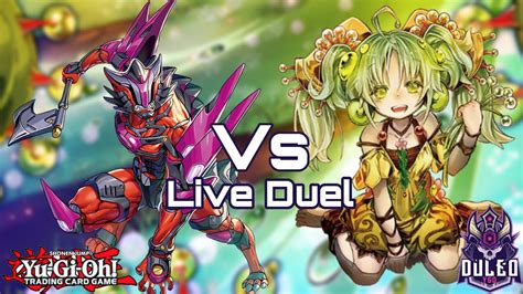 Yu Gi Oh Live Duel Kashtira Vs Traptrix Prodigy Games Locals