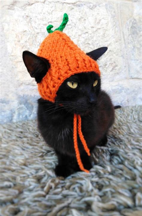 Pumpkin Hat for Cat Pumpkin Pet Costume Halloween Costume | Etsy