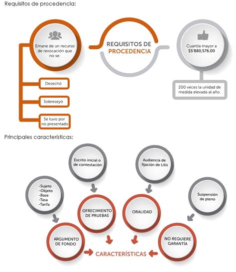 Juicio De Resolución Exclusiva De Fondo Revista Consultoría