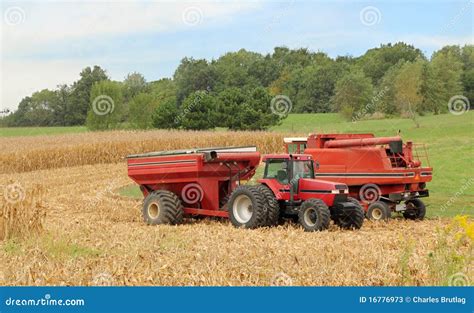 Harvesting Corn stock image. Image of harvesting, machinery - 16776973