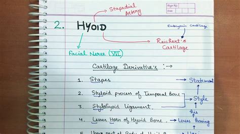 Pharyngeal Arch Mnemonic Part 2 Youtube