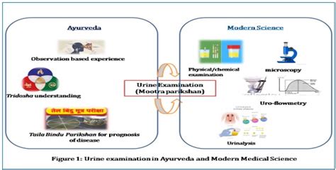 Urine Analysis In Ayurveda And Modern Medicine Exploring Convergence