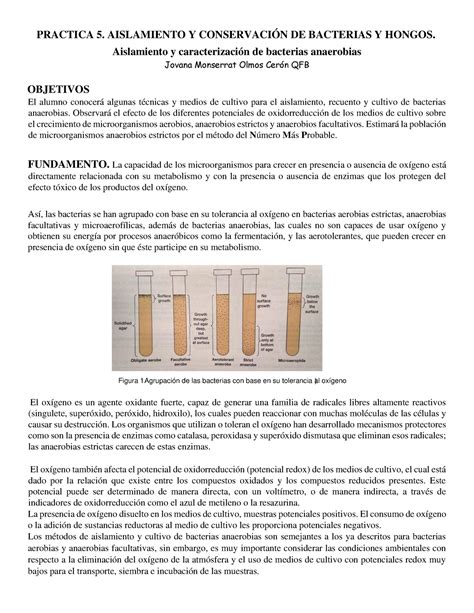 Practica Practica Aislamiento Y Conservaci N De Bacterias Y