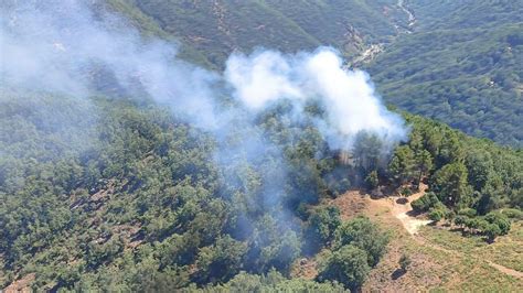 Extinguidos Dos Incendios Forestales En Navalacruz Y En Candeleda En Vila