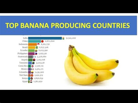 Top Banana Producing Countries YouTube