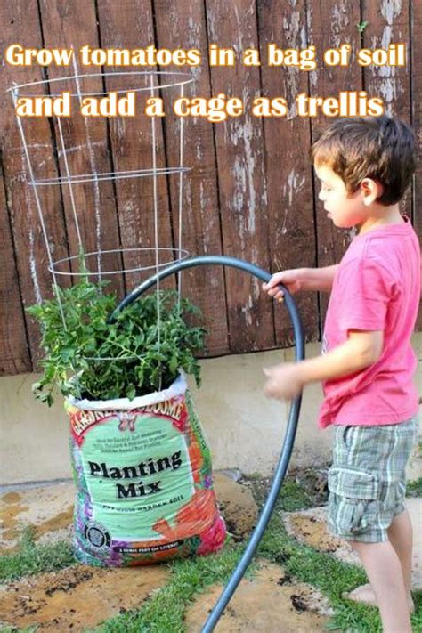 The Best Gardening Tips 14 Gardening Soul