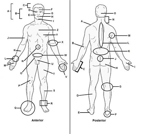 Regional Terms Diagram Quizlet