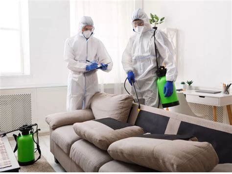 What To Look For In A Biohazard Cleanup Company Socialsneaker