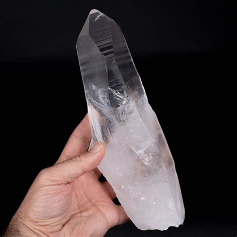 Lemurian Seed Crystal 1295 G 9 4 X2 8 Record KeepersDefault Title 2024