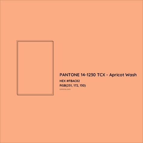 Pantone Tcx Apricot Wash Complementary Or Opposite Color Name