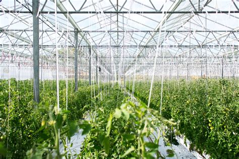 The Countrys First Smart Greenhouses Launched In Baguio Fandb Report