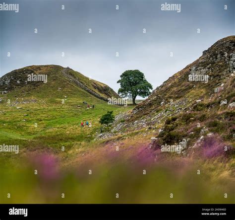 Hadrian's Wall, England, Great Britain, Europe Stock Photo - Alamy