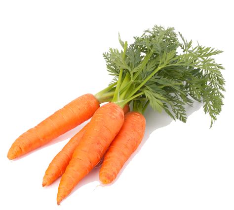 Carrots And Ranch Png At Sasachieverblog Blog