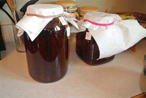 Kombucha~The Importance of Fermented Foods - Dr. Krystal Hohn