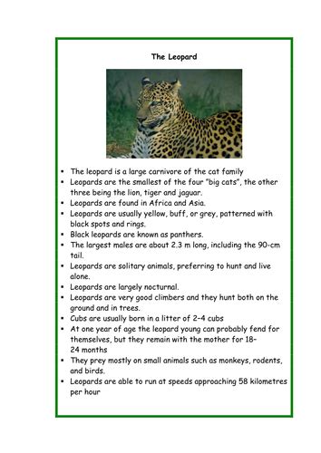 Rumble in the Jungle Resource Pack | Teaching Resources