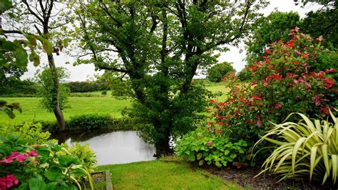 Comment avoir un beau jardin toute lannée