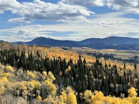 Colorado fall colors: 12 photos from across the state - Axios Denver