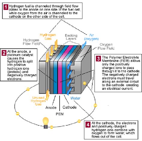 Pemfc Basic Operation 7 Download Scientific Diagram