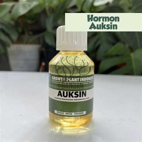 Jual Vitamin Hormon Pertumbuhan Akar Auksin Ml Nutrisi Untuk Segala