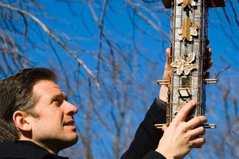 Protein Feeder Tubes Introducing A Better Hummingbird Diet