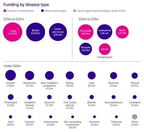 Facts And Figures About Our Research Funding Cancer Research Uk