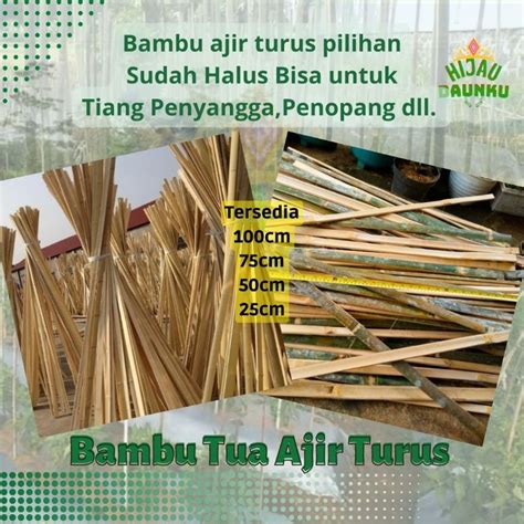 Jual Bambu Bilah Ajir Turus Plant Stake Raut Tiang Penyanggah Tanaman